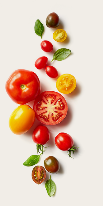 tomaten