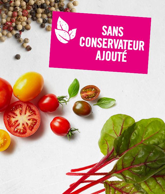 sans conservateur